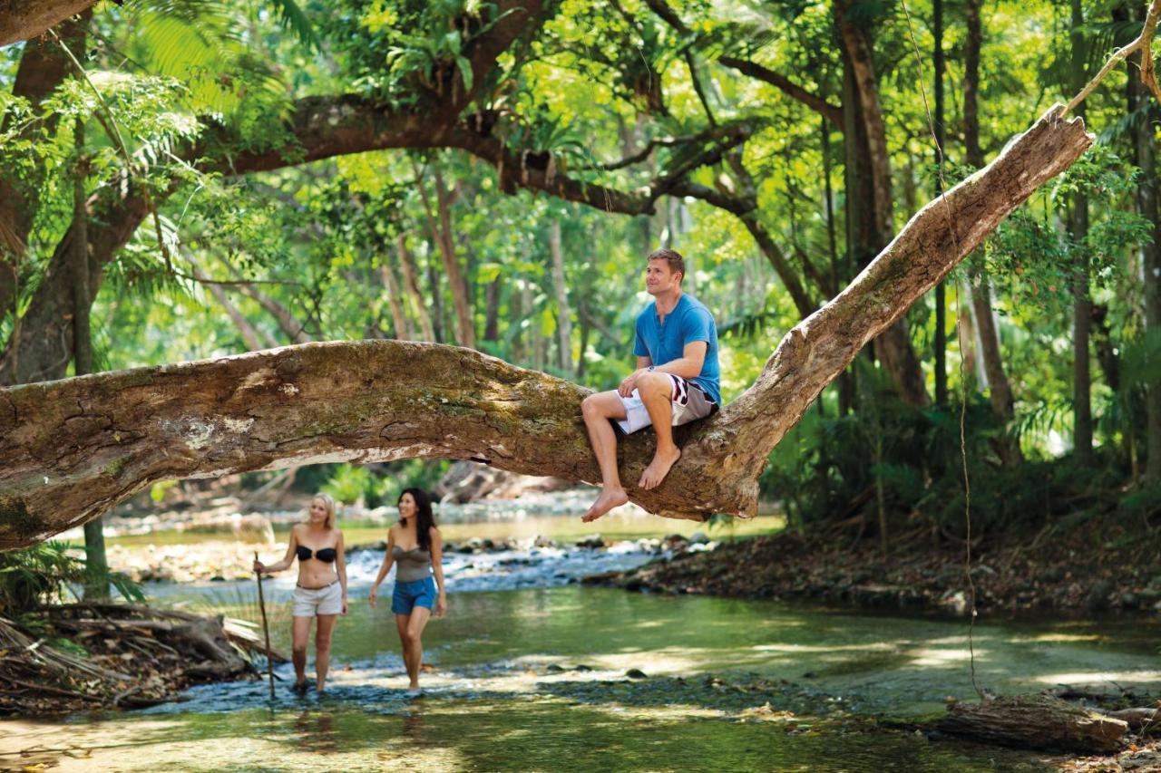 Lychee Tree Holiday Apartments Port Douglas Extérieur photo